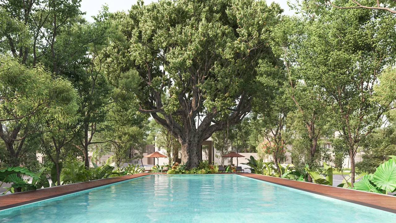 CENTRAL PARK
